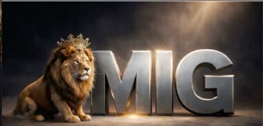 MIG — Multinational Investment Group